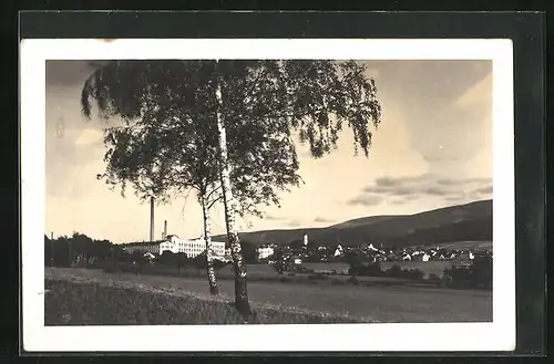 Foto-AK Neustadt (aT) / Nove Mesto Pod Smrkem, Panorama