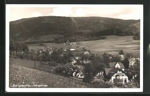 AK Bad Liebwerda / Lazne Libverda, Teilansicht, Isergebirge