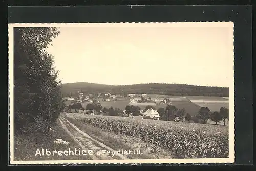 AK Albrechtice, Weg vor dem Dorf