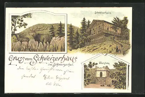 Lithographie Schwarzburg, Gasthaus Schweizerhaus im Schwarzathal, Ruine Eberstein