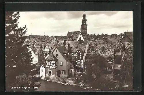 AK Lauf a. d. Pegnitz, Totalansicht