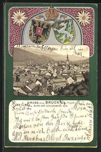 Lithographie Bruck a. d. Mur, Ausblick vom Schlossberg, Stadt-Wappen