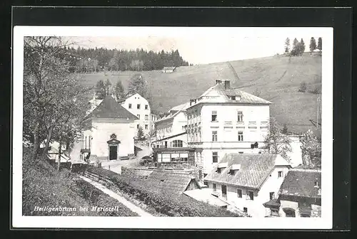 AK Heiligenbrunn bei Mariazell, Ortspartie