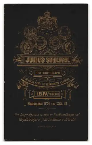 Fotografie Julius Schlegel, Leipa, Klostergasse 24, Junger Mann im Anzug