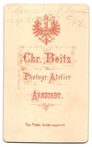 Fotografie Chr. Beitz, Arnstadt, Mann mit Schnurrbart und karriertem Anzug