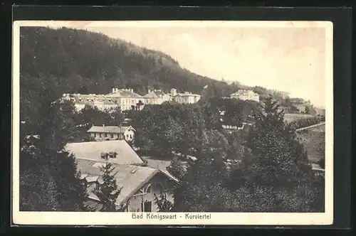 AK Bad Königswart, Blick auf das Kurviertel