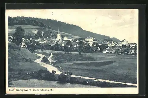 AK Bad Königswart, Gesamtansicht der Ortschaft