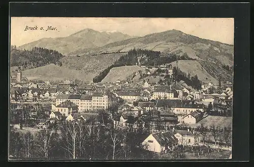 AK Bruck an der Mur, Teilansicht