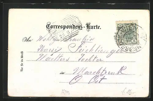 Lithographie Salzburg, Totalansicht, Edelweiss