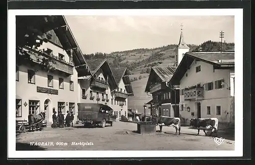 AK Wagrain, Marktplatz, Kühe am Brunnen