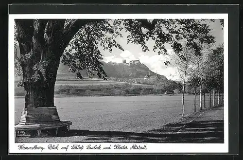 AK Hammelburg, Blick auf Schloss Saaleck und Kloster Altstadt