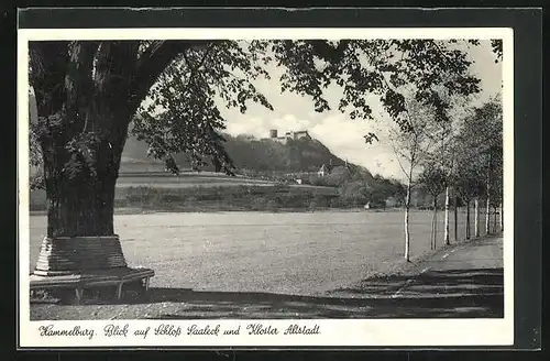 AK Hammelburg, Blick auf Schloss Saaleck und Kloster Altstadt