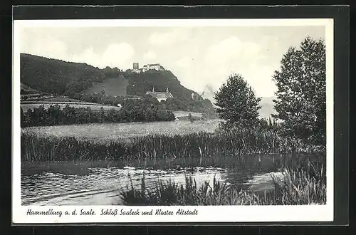 AK Hammelburg a. Saale, Blick auf Schloss Saaleck und Kloster Altstadt