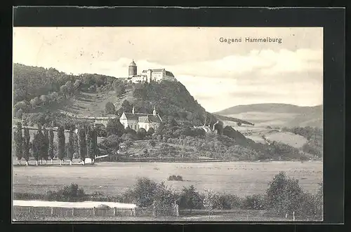 AK Hammelburg, Blick auf Schloss Saaleck