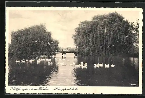 AK Kitzingen am Main, Partie am Karpfenteich