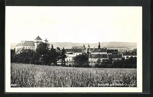 AK Rozmital pod Trems, Panorama