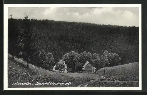 AK Schübelsmühle i. Steinachtal / Frankenwald, Panorama