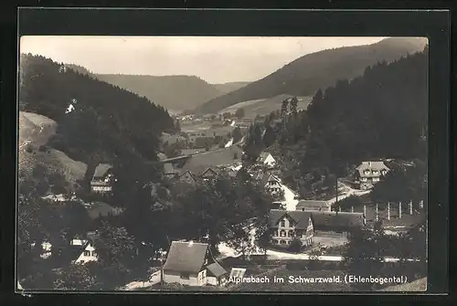 AK Alpirsbach / Schwarzwald, Panorama