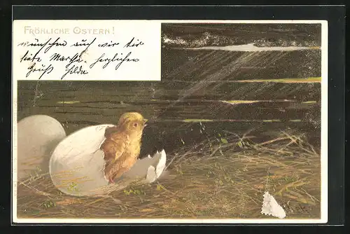 Künstler-AK Alfred Mailick: Fröhliche Ostern, Schlüpfendes Küken