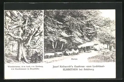 AK Salzburg-Elsbethen, Gasthaus zum Lochhäusl, Garten, Wundertanne
