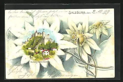 Passepartout-AK Salzburg, Festung Hohensalzburg, Edelweiss