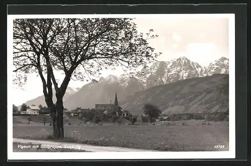 AK Vigaun, Ortspartie mit Göllgruppe und Baum