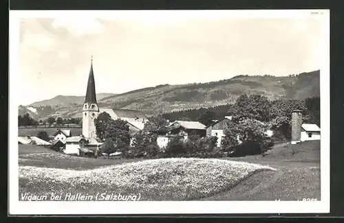 AK Vigaun, Ortspartie mit Kirche