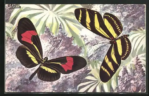 Künstler-AK Gemusterte Schmetterlinge