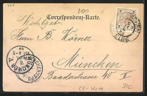 AK Tetschen-Bodenbach / Decin, Direkter Blick auf das Schloss