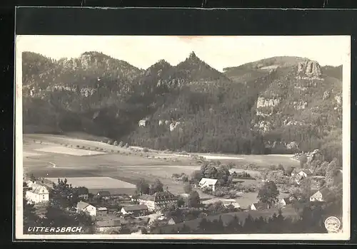 AK Dittersbach / Jetrichovice, Ortsansicht mit Berglandschaft