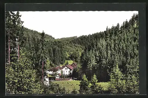 AK Helmbrechts, Gasthaus Bischofsmühle im Frankenwald