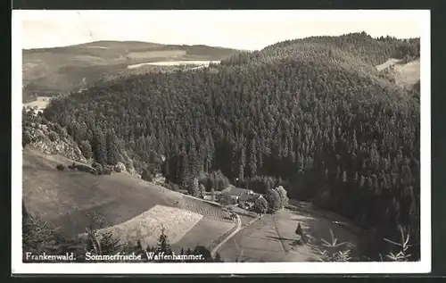 AK Waffenhammer im Frankenwald, Blick zu Gasthaus und Pension im Steinachtal