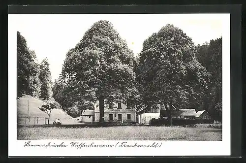 AK Waffenhammer (Frankenwald), Blick zu Gasthaus und Pension im Steinachtal