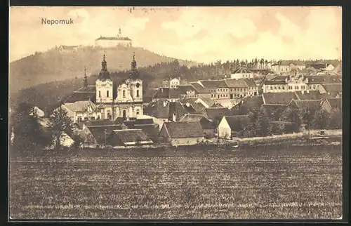 AK Nepomuk, Ortsansicht mit Schloss