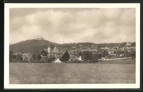 AK Nepomuk, Panorama mit Schloss