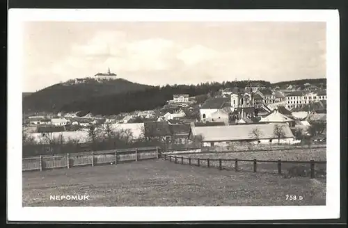 AK Nepomuk, Ortsansicht mit Schloss