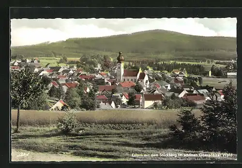 AK Eslarn, Ortsansicht mit dem Stückberg im schönen Oberpfälzer Wald