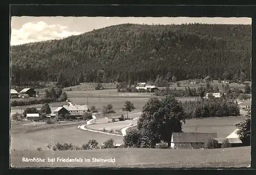 AK Friedenfels im Steinwald, Blick zum Gasthof Bärnhöhe