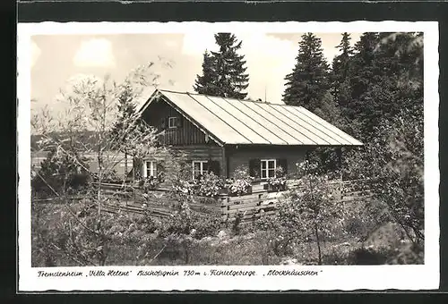 AK Bischofsgrün im Fichtelgebirge, Fremdenheim Villa Helene - Blockhäuschen