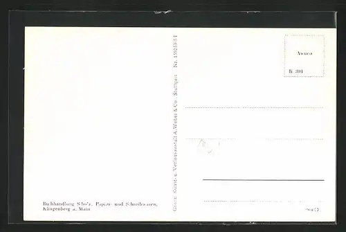 AK Klingenberg a. Main, Panorama