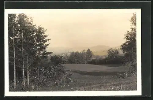 AK Nemmersdorf / Goldkronach, Panorama