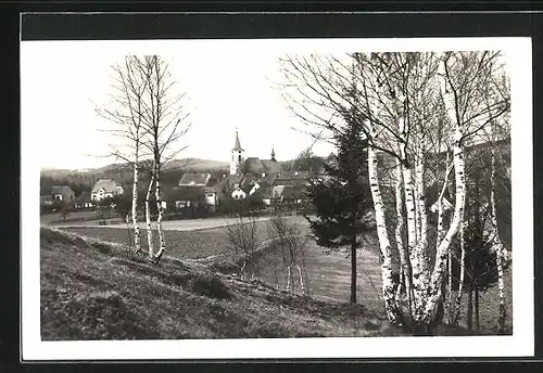 AK Novy Hradek / Neubürgles, Panorama