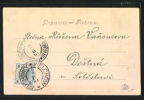 AK Sl. Lazne Velichovky, Gesamtansicht