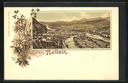 Lithographie Hallein, Totalansicht aus der Vogelschau