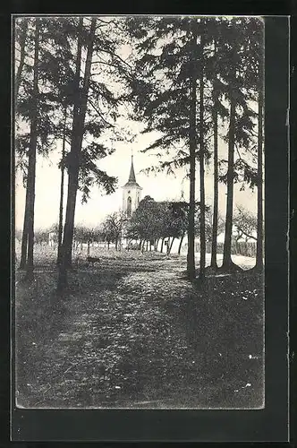 AK Velichovky, Kirche vom Wald aus