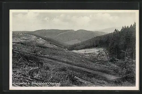 AK mit Landpoststempel Buntenbock über Clausthal-Zellerfeld 1