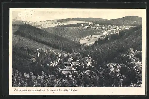 AK mit Landpoststempel Waldbärenburg über Dippoldiswalde