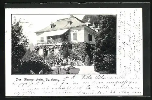 AK Salzburg, Der Blumenstein