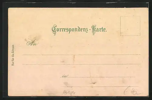 Lithographie Taxenbach /Pinzgau, Gasthaus und Pension Embacher, Kitzlochklamm