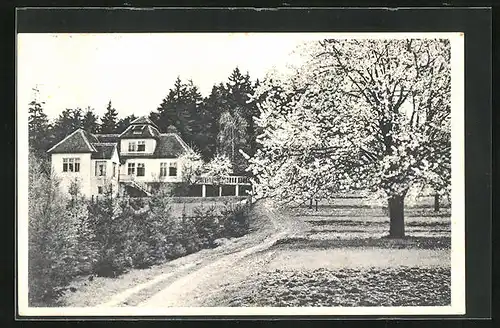 AK Nove Mesto n. M., Smolakova zahradni restaurace, Hotel Pension